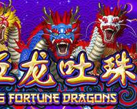 5 Fortunate Dragons